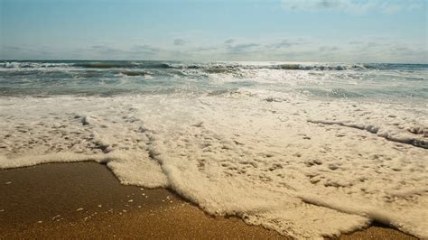 Sea Waves On Sandy Beach Tilt Up Stock Video Footage 0025 Sbv