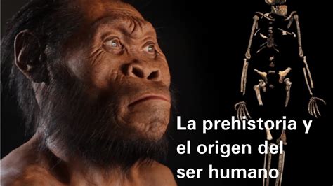 La Prehistoria Y El Origen Del Ser Humano Historia Youtube
