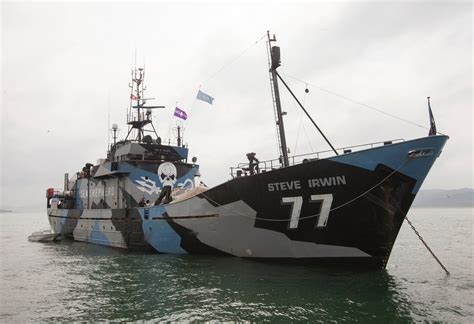 Sea Shepherd Activists Halt Pursuit Of Japanese Whalers The New York