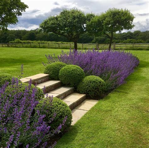 Acres Wild On Instagram “simply Sloping 🌳 A Once Unevenly Sloping Lawn