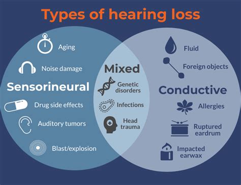 Understanding Hearing Loss Types Causes Symptoms And Treatments