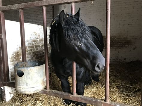 Maybe you would like to learn more about one of these? Agnieszka i Jarosław z Bronowa: Życie na wsi to najlepsze ...