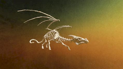 Dragon Skeleton By Ichi Minecraft Project