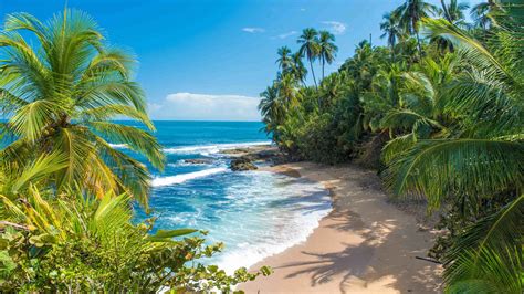 Playa Hermosa 2021 Top 10 Ture Og Aktiviteter Med Billeder