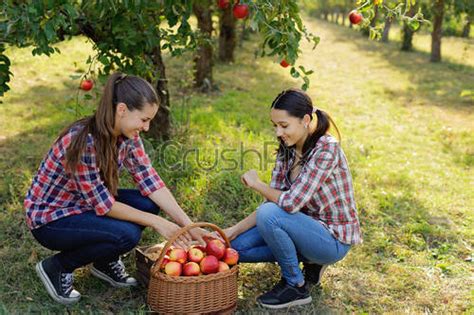Girl With Apple In The Apple Orchard Stock Photo 1548801 Crushpixel