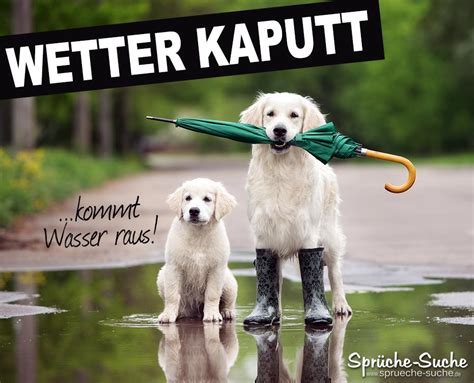 Lustige spruche lustige spruche quatsch das ist nicht lustig. Schlechtes Wetter Spruch mit Hunden - Sprüche-Suche