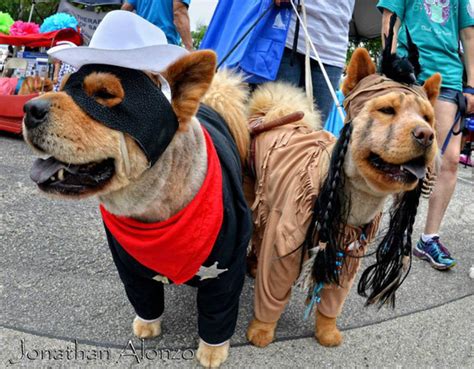 Theres An Annual Doggie Costume Contest In Texas That Looks Like The