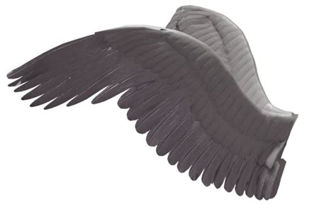 Wings Png Transparent Image Download Size 699x436px