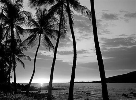 Black And White Beach Sunset Life And Art In Black And White