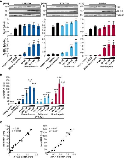 Frontiers Hdac Inhibitors Panobinostat And Romidepsin Enhance Tax