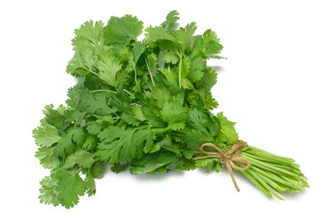 Dna Testing Can Tell You If You Will Hate Cilantro