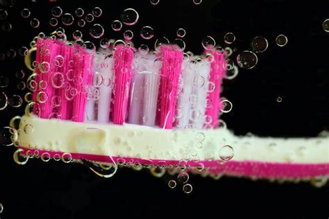 Once your toothbrush's bristles begin to fray, you need to replace it, even if it's sooner than six weeks. How Often Should I Replace My Toothbrush? | Travelers Rest ...