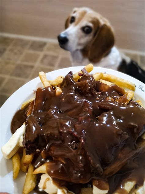 Homemade Braised Beef Poutine With Cahors Red Wine Gravy Food