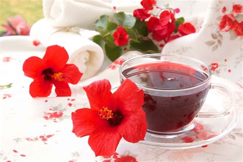 hibiscus tea benefits flavor and simple recipes tea breakfast