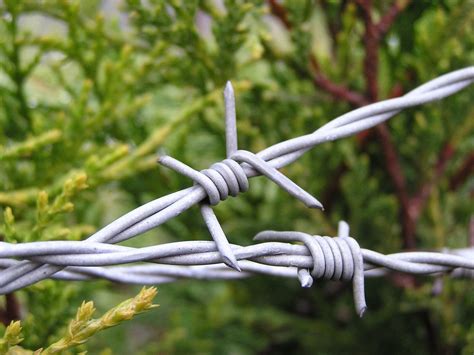 Barbed Wire Free Photo Download Freeimages