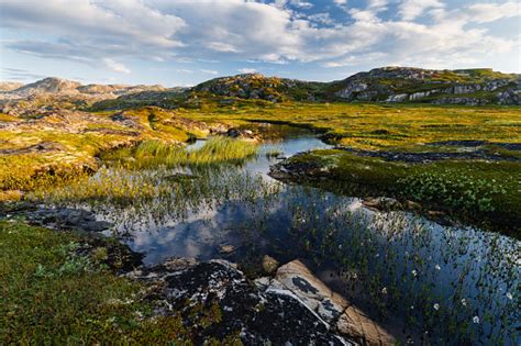 Small Lake Behind A Polar Circle Stock Photo Download Image Now