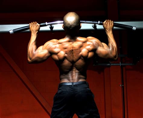 Lower Back Exercises Bodybuilding Workouts
