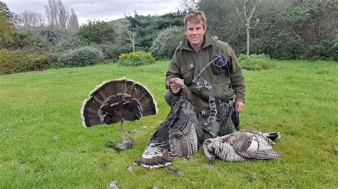 Bow Hunting Turkeys NZ YouTube
