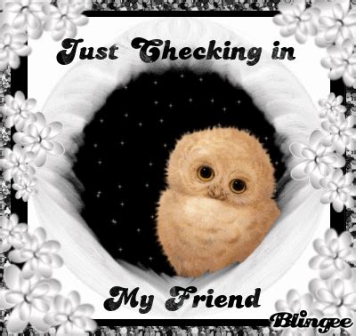 Just Checking In My Friend Cute Gif Friends Gif Valentine Font