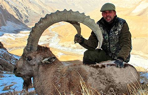 Ibex Hunting In Kyrgyzstangreat Trophies Profihunt Profihunt