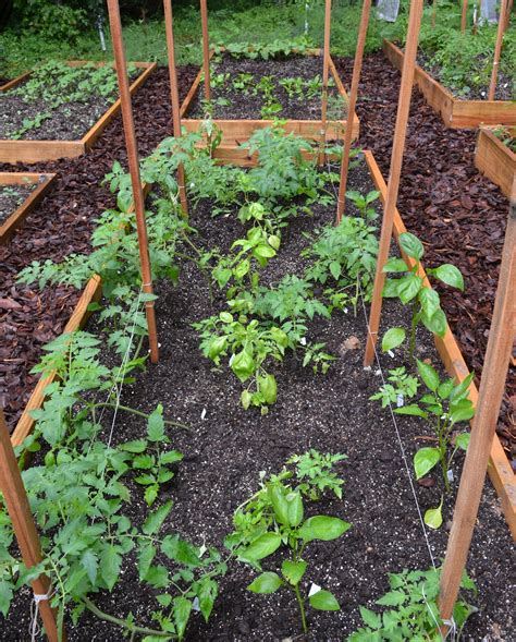 Growing Days Making Beds Vegetable Garden Beds That Is