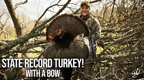 Turkey Hunting State Record Turkey Heaviest Bird Ever Shot In
