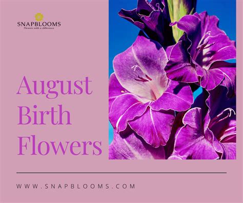 August Birth Flower And Their Meanings Snapblooms Blogs