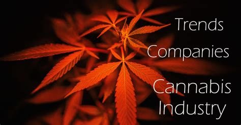 Trends And Companies In The Cannabis Industry Harbor Collective Mmcc