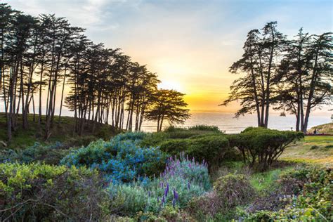Here Are 5 Ways To Do Seascape Resort Visit Santa Cruz County