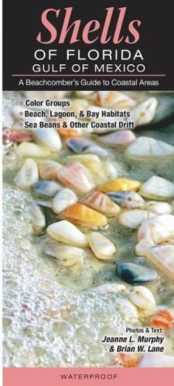 Quick Reference Publishing Shells Of Florida Gulf Of Mexico Rei Co