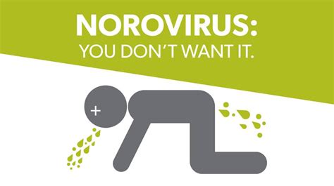 In developed countries with rotavirus vaccine programs, norovirus surpasses rotavirus as the most common cause of gastroenteritis in children. Norovirus | Mountain Crossings at Neel Gap