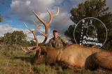 Photos of Arizona Elk Hunting Outfitters