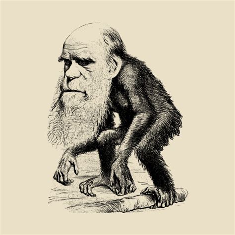 Charles Darwin As An Ape Evolution Darwin Mask Teepublic