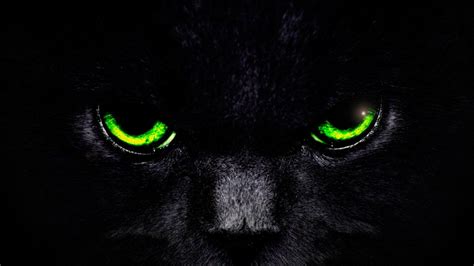 Black Kittens With Green Eyes Wallpapers Wallpaper Cave