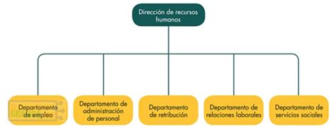 Organigrama Gerente De Recursos Humanos