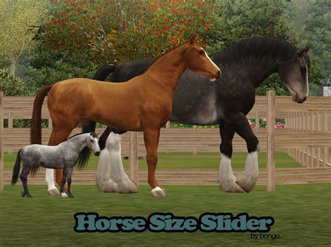 July 10, 2008released in us: Sunny CC Finds, blognirarssimsnthings: bongomazing: Scales ...