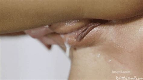 Jizz From Creampieobsession Gif Porn Giphy
