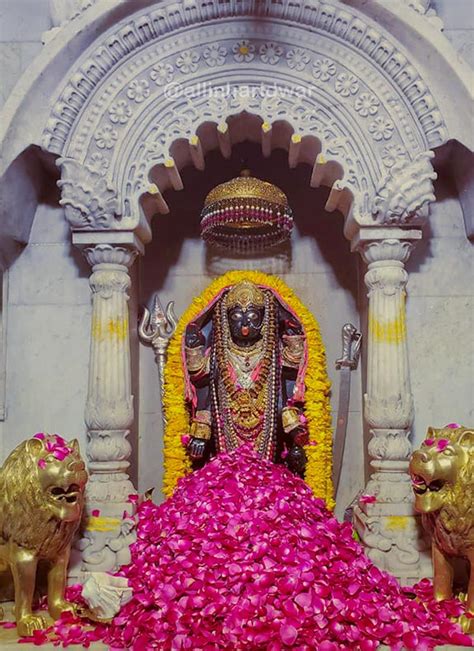 Seat Of Power The Sacred Dakshin Kali Temple Allinharidwar
