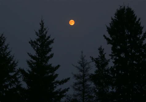 Eclipse By Fire Smoky Haze Pervades Night Sky Darkens Moon Universe