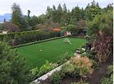 Pictures of Backyard Turf Soccer Field