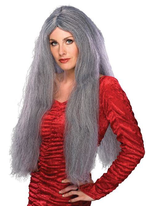 28 Ladies Long Grey Wig