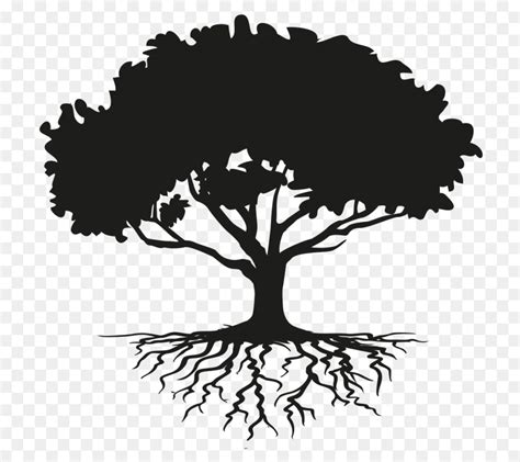 Free Tree Silhouette Roots Download Free Tree Silhouette Roots Png