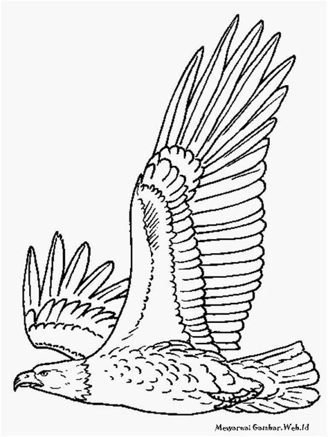Gambar Mewarnai Gambar Burung Elang Lembar Kolase Garuda Di Rebanas