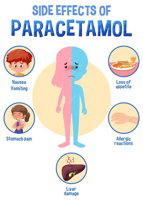 Premium Vector Human Anatomy Diagram Cartoon Style Of Paracetamol