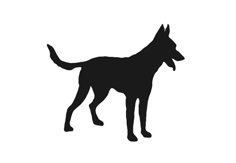 Belgian Malinois Svg