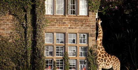 Giraffe Manor In Nairobi Kenya Journeys By Design