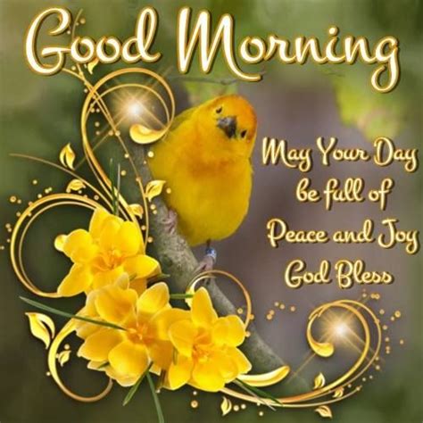 Why does god bless us in the morning? Good Morning everyone! Have a wonderful weekend! Bless, I ...