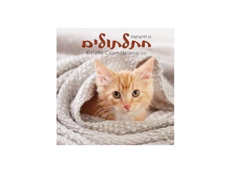 Buy Small Kittens Calendar Jewish Year 5780 Sept 2019 Sept 2020