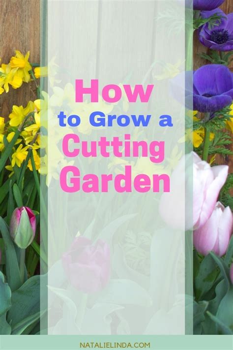How To Grow A Cutting Garden Natalie Linda
