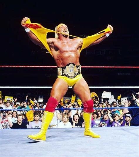Hulk Hogan Wwf Champion Wwf Superstars Wrestling Superstars Wrestling Posters Wrestling Wwe